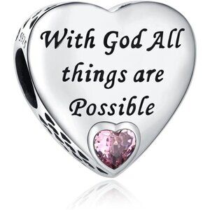 925 Sterling Silver Charms Fit Pandora Charms Bracelet